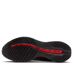 Nike Pegasus Premium - Absorption Vibrations